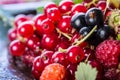 Red currant sponge cake. Plate with Assorted summer berries, raspberries, strawberries, cherries, currants, gooseberries.