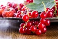 Red currant sponge cake. Plate with Assorted summer berries, raspberries, strawberries, cherries, currants, gooseberries.