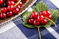 Red currant sponge cake. Plate with Assorted summer berries, raspberries, strawberries, cherries, currants, gooseberries.