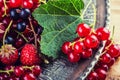 Red currant sponge cake. Plate with Assorted summer berries, raspberries, strawberries, cherries, currants, gooseberries. Royalty Free Stock Photo