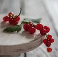 Red currant on the stand wood table summer berries morning light macro