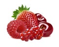 Red currant, strawberry, raspberry, cherry isolated