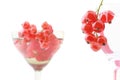 Red currant in wineglass isolated