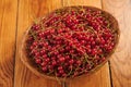 Red currants in a basket, freshly picked berries