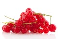 Red currants berries