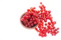 Red currants in a bowl isolated on a white background Royalty Free Stock Photo