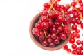 Red currants in a bowl isolated on a white background Royalty Free Stock Photo