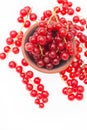 Red currants in a bowl isolated on a white background Royalty Free Stock Photo