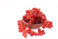 Red currants in a bowl isolated on a white background Royalty Free Stock Photo