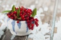 Red currants in a bowl with mint