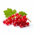 Vibrant Red Currants On White Background