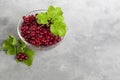 Red currants and green leaves on a dark background. Vitamin cocktail Royalty Free Stock Photo