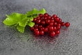 Red currants and green leaves on a dark background. Vitamin cocktail Royalty Free Stock Photo