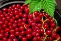 Red currants with leaves in a black bowl on a wooden background. Harvest of ripe summer berries. Closeup Royalty Free Stock Photo