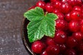 Red currants with leaves in a black bowl on a wooden background. Harvest of ripe summer berries. Closeup Royalty Free Stock Photo