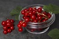 Red currants leaves in a glass plate on a black cement background. The concept of a summer harvest of berries and healthy food Royalty Free Stock Photo