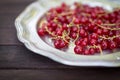 Red Currants Royalty Free Stock Photo