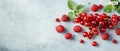 Red currants and raspberries are arranged on a textured light gray surface, some green leaves visible, forming a colorful pattern. Royalty Free Stock Photo