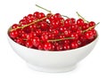 Red currants Royalty Free Stock Photo