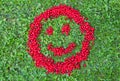 Red Currants Smiley