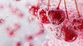 Red currants submerged in water with air bubbles on a white background Royalty Free Stock Photo