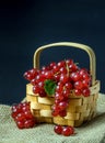 Red Currants in a Wooden Basket Royalty Free Stock Photo