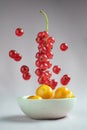 Red current berry in a flying levitation with clean background. Ripe physalis berries in the white bowl Royalty Free Stock Photo