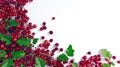 Red current bunch isolated. Redcurrant pile, ripe red current berries group on white background. Background with copy Royalty Free Stock Photo