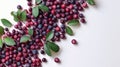 Red current bunch isolated. Redcurrant pile, ripe red current berries group on white background. Background with copy Royalty Free Stock Photo