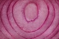 Red cut raw onion closeup background Royalty Free Stock Photo