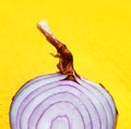 Red cut raw onion closeup on yellow Royalty Free Stock Photo