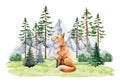 Red cute fox in nature wildlife forest landscape scene. Watercolor illustration. Fox sitting in northern forest