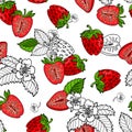 Red cuty fresh strawberry fruits,green leaves and black contour on white background.Vector seamless pattern. Royalty Free Stock Photo