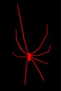 Red Daddy long legs spider vector silhouette isolated on black background. Royalty Free Stock Photo