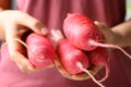 Red daikon radish holding by hand, Organic vegetables