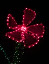 Red daisy shaped Christmas light decoration