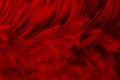 Red dark feathers texture background