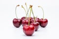 Group of red and dark red cherries with green stems, one cherry in focus, stands out,  on white background, soft reflections Royalty Free Stock Photo