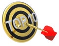 Red dart on a gold target with text on it. Royalty Free Stock Photo