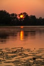 Red dawn over the lake where water lilies grow