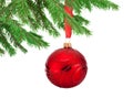 Red decorations Christmas ball hanging on a fir tree branch Royalty Free Stock Photo