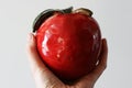 Red decorative ceramic apple on table