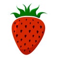 Strawberry vector illustration. Red decorative strawberry isolated