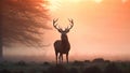 Red Deer Cervus elaphus stag during rutting season on a foggy morning, Red deer stag silhouette in the mist, AI Generated