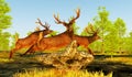Red Deer jump Dead Tree