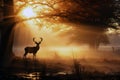Red Deer in morning mist. Royalty Free Stock Photo