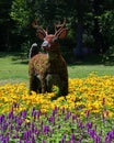 Red deer at the mosaiculture Once Upon a Time Earth,