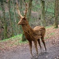 Red deer stag made from willow sculpture by Anna Cross