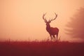 Red deer stag in the morning mist. Filtered image processed vintage effect, Red deer stag silhouette in the mist, AI Generated Royalty Free Stock Photo