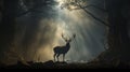 Red deer stag silhouette in the mist. Silhouette of a red deer stag in the mist. generative ai Royalty Free Stock Photo